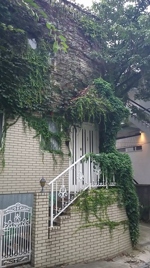 e0020682_15334763.jpg