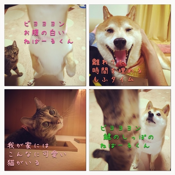 仕方ない状況_a0126590_23380491.jpg