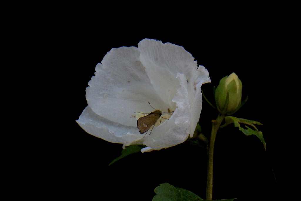 b0024798_11282213.jpg