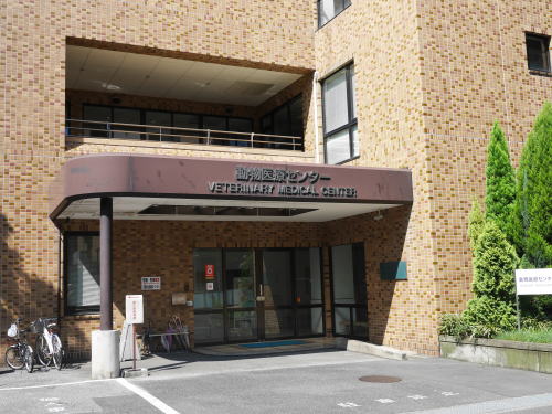 c0090198_223398.jpg