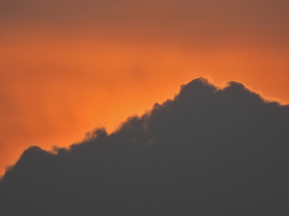 c0049299_22141321.jpg