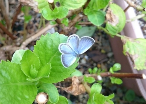 e0351303_14543428.jpg
