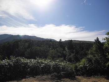 d0032405_2146198.jpg