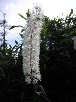 d0032405_21532690.jpg