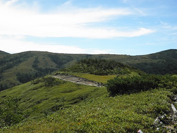 d0032405_21545089.jpg