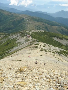d0032405_2229317.jpg