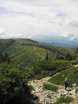 d0032405_223923.jpg