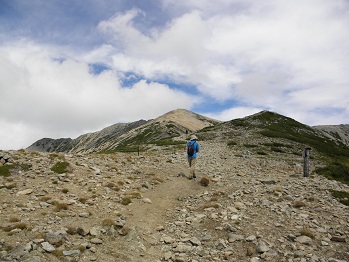 d0032405_2245087.jpg