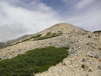 d0032405_225471.jpg