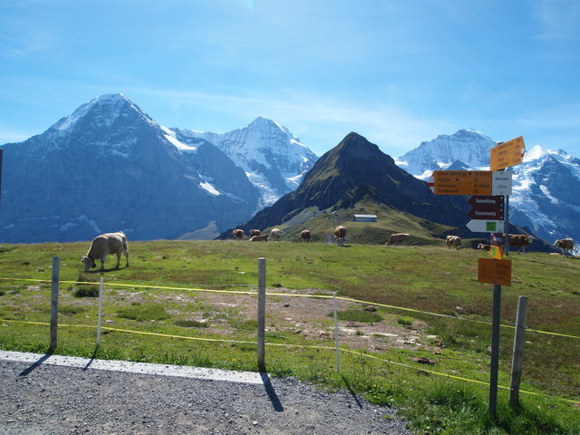 f0167007_17074992.jpg