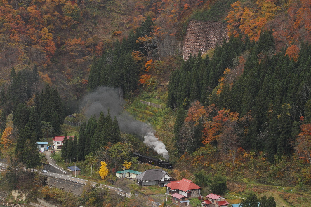 鮮やかに彩られた山里 - 2014年・只見線 - _b0190710_443419.jpg