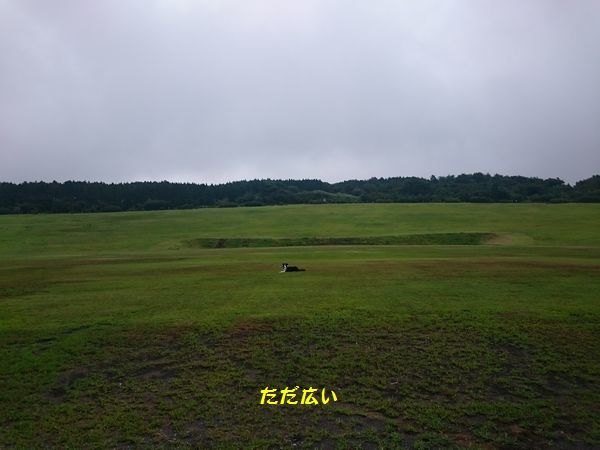 d0224111_21320240.jpg