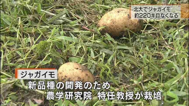 「世界よ見てるか   これが朝鮮人だ」： 日本の水害被害を韓国が大歓迎 「サル達への天罰」_e0171614_1523740.jpg