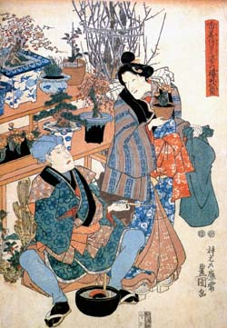 余談:気になる江戸の園芸文化_d0263815_18364710.jpg