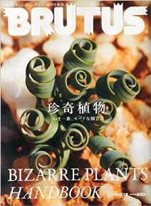 余談:気になる江戸の園芸文化_d0263815_1872265.jpg