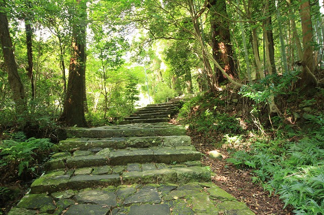 熊野古道・大門坂、散策（その1）_e0321325_19302685.jpg