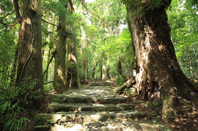 熊野古道・大門坂、散策（その1）_e0321325_19384578.jpg