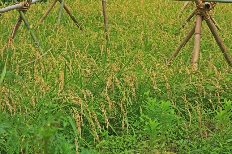 c0104227_22183732.jpg