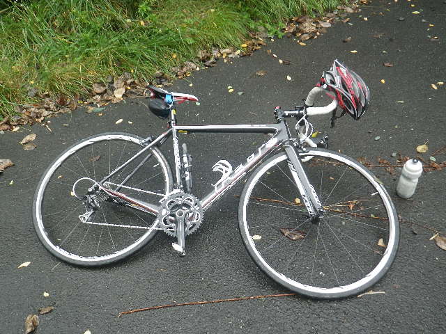 e0026331_1237549.jpg