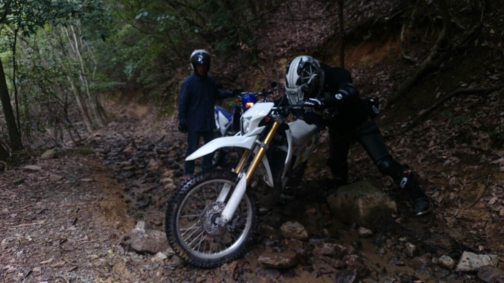 a0245339_20260602.jpg