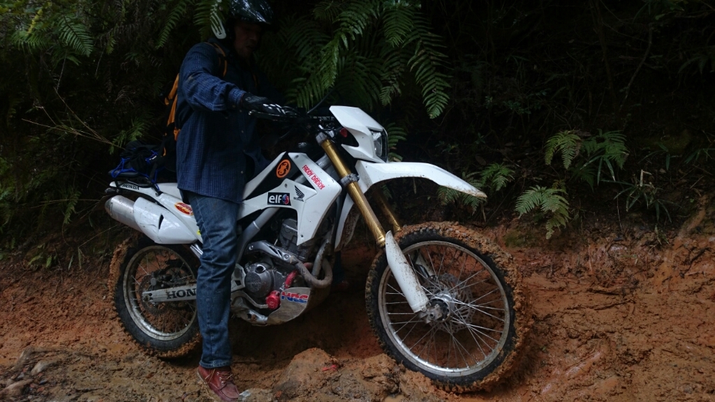 a0245339_20324027.jpg