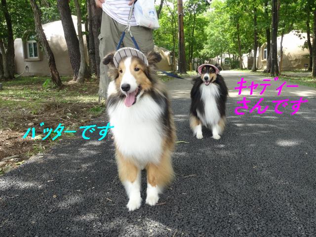 那須旅行☆ちょっと福島まで_e0195743_1465252.jpg