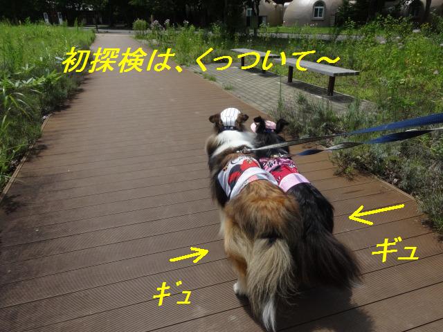 那須旅行☆ちょっと福島まで_e0195743_1471251.jpg