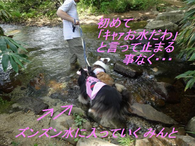 那須旅行☆ちょっと福島まで_e0195743_1472281.jpg