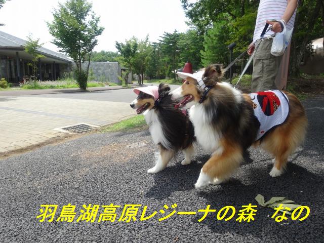 那須旅行☆ちょっと福島まで_e0195743_147454.jpg