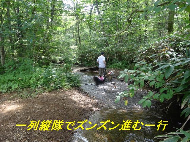 那須旅行☆ちょっと福島まで_e0195743_1475782.jpg