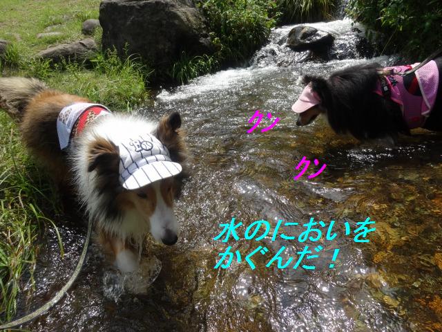 那須旅行☆ちょっと福島まで_e0195743_1482345.jpg