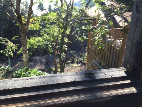 9月12日の日記_c0369344_08483921.jpg