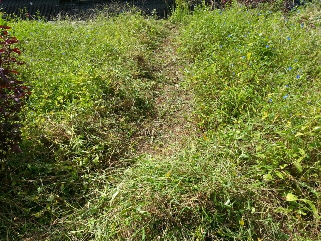 c0330749_14261409.jpg