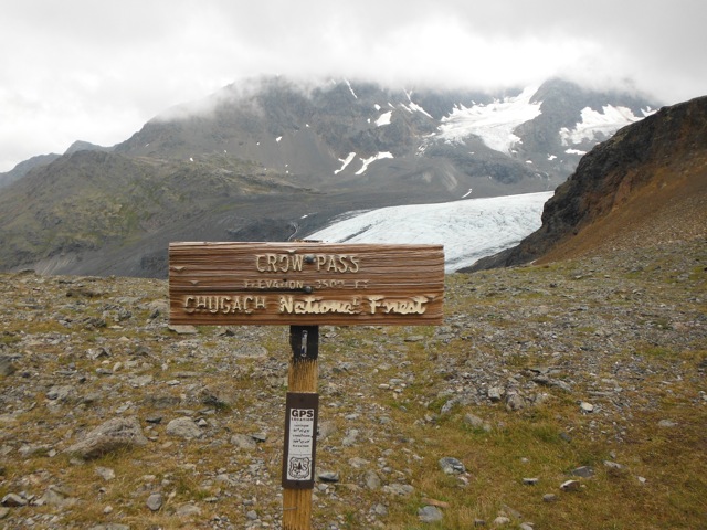 d0143355_41848.jpg