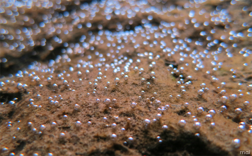 e0158261_7235394.jpg