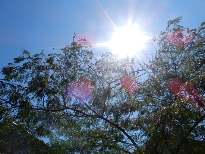 ’15,9,12(土)えっ、夏がもどってきたの?_f0060461_14583386.jpg