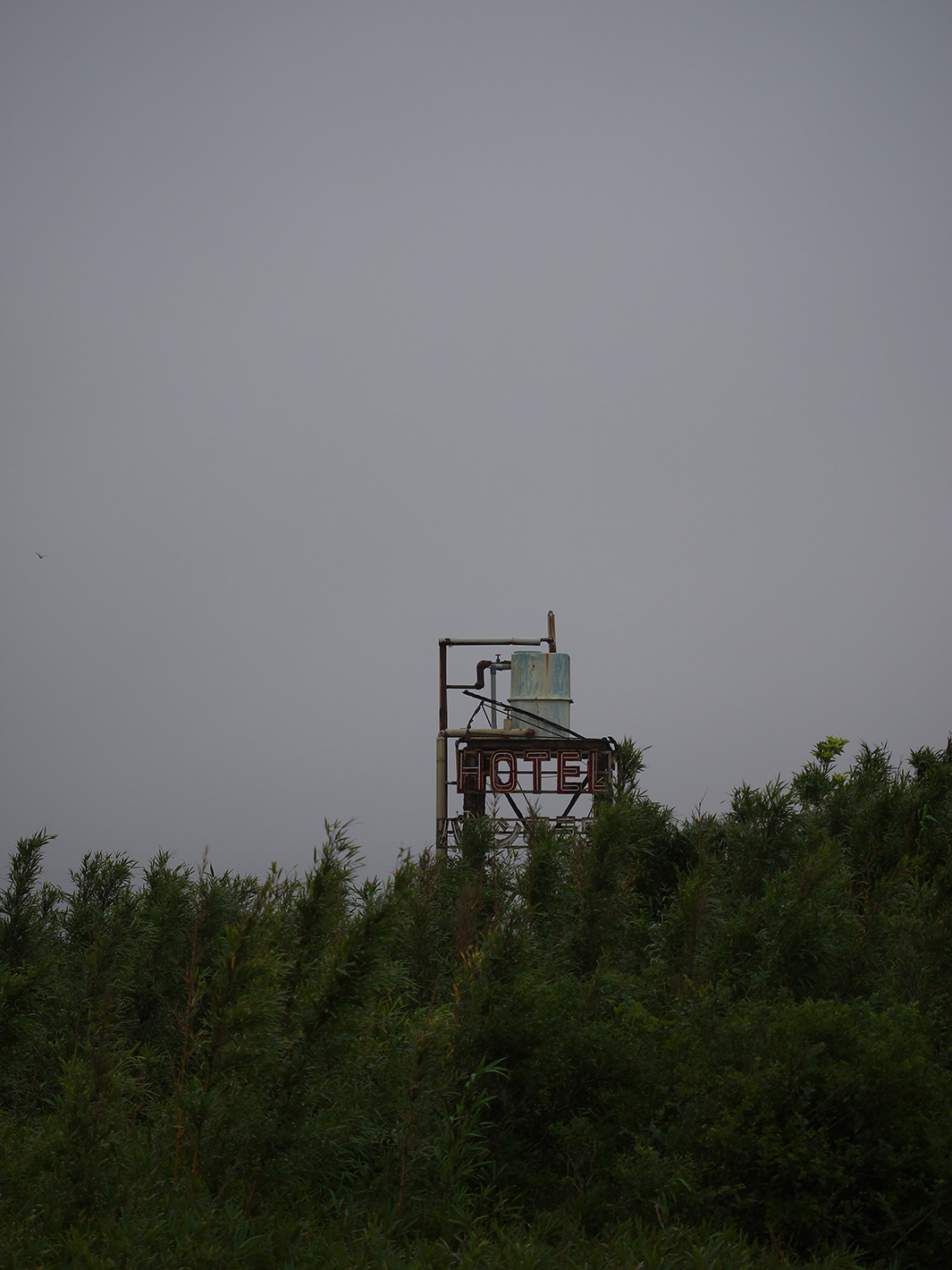 f0121181_5283371.jpg