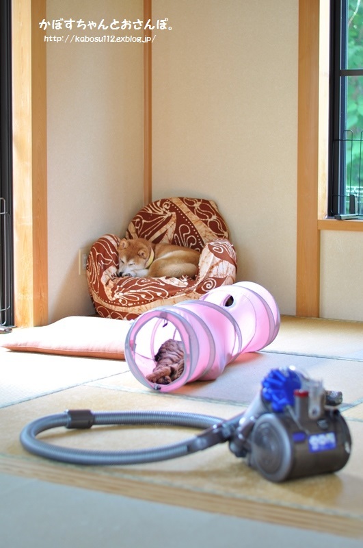 仕方ない状況_a0126590_00122975.jpg