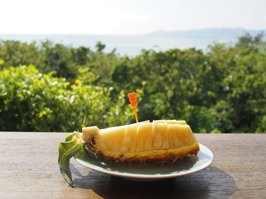 2015夏　石垣島の旅　≪食べ物編②≫_e0067595_14412618.jpg