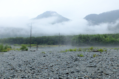 e0304001_20194716.jpg