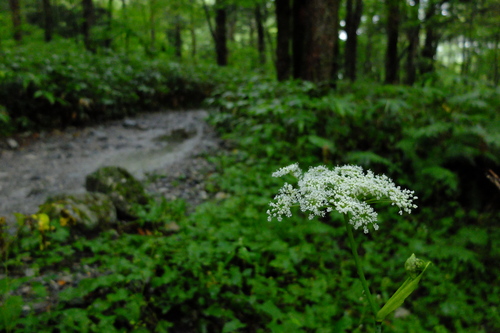 e0304001_20265581.jpg