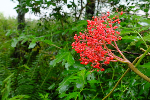 e0304001_20351241.jpg