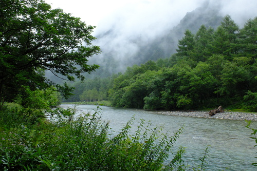 e0304001_21442782.jpg