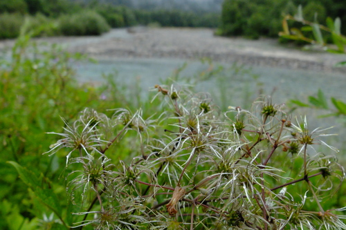 e0304001_21475820.jpg