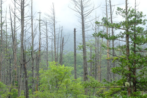 e0304001_21535167.jpg