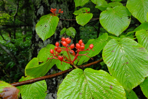 e0304001_21562580.jpg