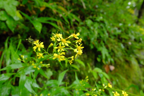 e0304001_2157303.jpg