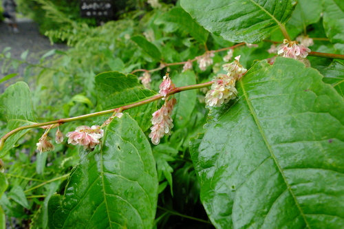 e0304001_220849.jpg