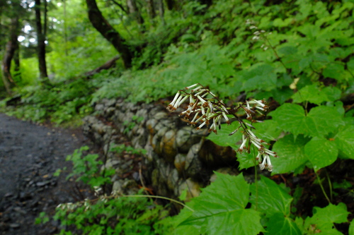 e0304001_22201247.jpg