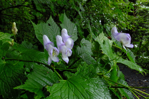 e0304001_22204217.jpg